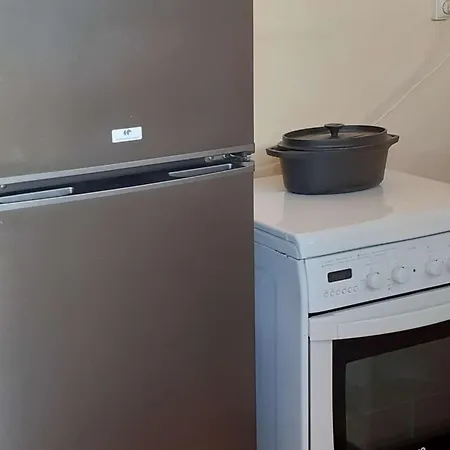 Maison De Avec Terrasse, Jardin, Garage, Animaux Acceptes A - Fr-1-494-116 Prázdninový dům Royan