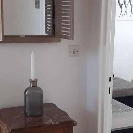 Maison De Avec Terrasse, Jardin, Garage, Animaux Acceptes A - Fr-1-494-116 * Royan