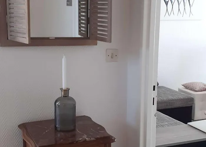 Maison De Avec Terrasse, Jardin, Garage, Animaux Acceptes A - Fr-1-494-116 * Royan